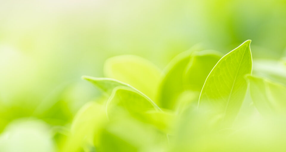 Salutomed Themen Duesseldorf